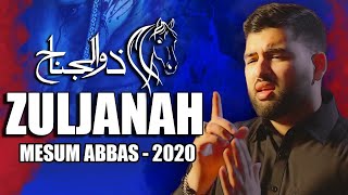 Zuljanah Noha (Official Video) - Mesum Abbas Nohay 2020