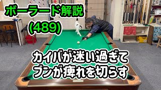 【ネコとビリヤード】カイバのボーラード解説(489)