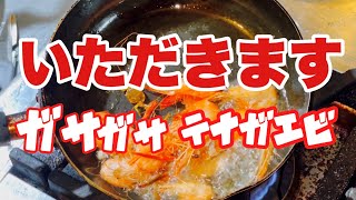 【夜のガサガサ】テナガエビを捕ったその日に唐揚げ食べてみた【簡単食べ方】