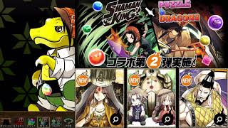 【パズドラ】シャーマンキングコラボガチャ14連