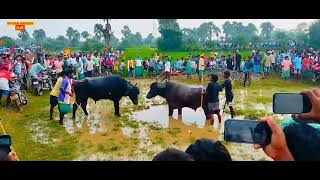 Mandopara kada ropok new Santali video 2024  Mandopara vs panchatiya barhet