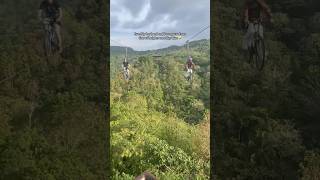 Would you try this? Sky bike at Cebu Safari Adventure Park #cebusafari #skybike #shorts #shortvideo