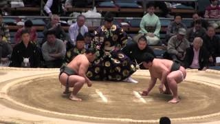 照強-岩崎/2017.3.17(29)/terutsuyoshi-iwasaki/day6 #sumo