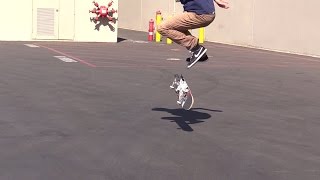 AARON KYRO EPIC WARM UP TRIPLE KICKFLIP!!!!!