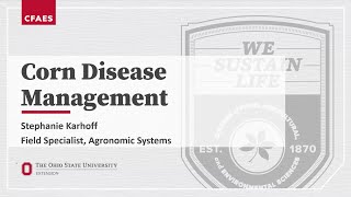 Corn Disease Management