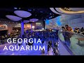 Georgia Aquarium 2022 | Whale Sharks and Manta Rays | Tips on planning your visit