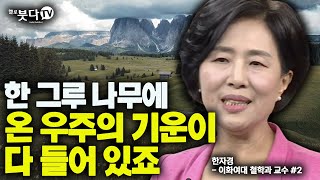 한 그루 나무에 온 우주의 기운이 다 들어 있죠 | 이화여대 한자경 교수의 불교 이야기 2강 | 불교 공 죽음 윤회 철학 마음 반야 지혜 부처