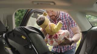 Switch and Save :30 | Magnum Insurance Commercial