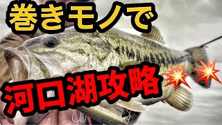 【河口湖バス釣り】巻き物巻きまくって雨降りの河口湖を3時間で攻略してみた