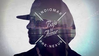 Indiomar - \