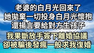 老婆的白月光回來了，她拋棄一切投身白月光懷抱，還揚言要給對方生孩子，我果斷放手簽下離婚協議，她卻被騙後發瘋一般求我復婚【清風與你】#深夜淺讀 #花開富貴 #一口氣完結 #一口氣看完系列 #小說