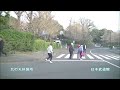 皇居の桜満開ドライブ🌸千鳥ヶ淵⇔代官町通り、北の丸公園 、田安門 、千鳥ヶ淵縁道 japan imperial palace🌸sakura cherry blossom