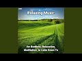 Sedative Relaxing Music