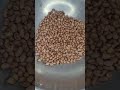 Peanut roasting techniques 🤯| #shorts #peanuts#roast