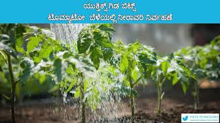 Smart Irrigation for Tomato  🍅  using IoT | ಟೊಮ್ಯಾಟೋ ಬೆಳೆಗೆ  IoT ಆಧಾರಿತ ಸ್ಮಾರ್ಟ್ ನೀರಾವರಿ | Yuktix®