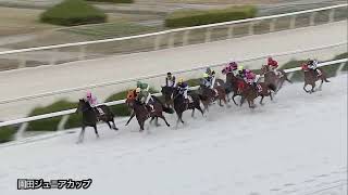 2021/12/31 園田競馬11R 園田ジュニアカップ ガリバーストーム