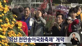 '익산 천만송이국화축제' 개막 | 전주MBC 231020 방송