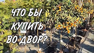 #жизньвиспании/Поехала в Садовый Центр/Немного Зелени в Ленту🍀