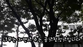 [나는 광고제작자] 성지초등학교 6-2 이채린