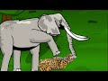 rainforest animals turnament animation—all animation dc2 drawingcartoons2