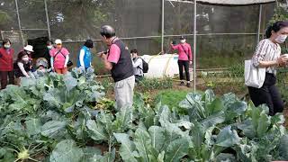 斗六市八德社區小旗艦代間共學，食農教育-認識蔬菜及種蔬菜