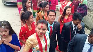 Chitwan Tharu Wedding Dance At Majhuee {Part -1}