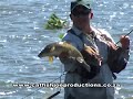 how to catch smallmouth yellowfish on fly part 5 in the vaal river by catfishjoe productions