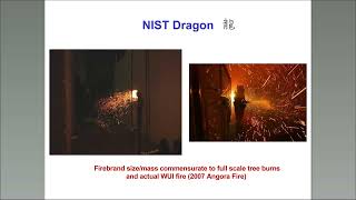 Experimentally Simulating Wind Driven Firebrand Showers in WUI Fires