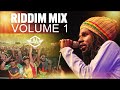 RIDDIM MIX VOL 1 ft Chronixx, Vybz Kartel, Busy Signal, Cecil, Alain, Richie Spice, Chuck Fenda. etc