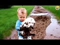 Funny ANIMALS videos 😅 Funniest CATS😺 DOGS🐶 HORSES🐴 2024