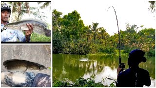 വാഹക്കളത്തിൽ storm lure ഇട്ടപ്പോൾ..... |Snake head fishing| lure fishing with excellent result