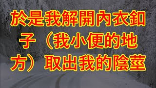 於是我解開內衣釦子（我小便的地方），取出我的陰莖 #江湖李白#wayne調查#X調查#情感故事#講故事#兩性情感#故事#小説#丈母孃#外遇#刺激的#小說#偷情#寂寞#出軌 #婚外情#岳母