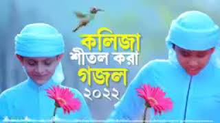 হতাম যদি নাম না জানা ফুল। Hotam Jodi Nam Na Jana Ful। New Bangla Gojol 2022 (Arifullah Media)