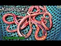 Download Камбоджа 2017.Страшная еда.Брезгливым и впечатлительным смотреть не надо.м In Mp4 3Gp Full HD Video
