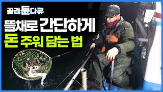 밤만 되면 홀로 낙지 잡으러 나가는 남자｜뜰채로 야행성 낙지 주워 담는 법｜한국기행｜#골라듄다큐