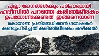 രോഗങ്ങൾ മാറാൻ  കരിഞ്ജീരകം ഉപയോഗിക്കേണ്ടത് | കോറോണക്കതിരെ ഗവേഷകർ കണ്ടു പിടിച്ചത് കരിഞ്ജീരകം