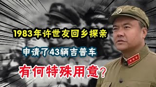 1983年许世友回乡探亲，申请了43辆吉普车，有何特殊用意？