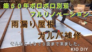 ５０年ほったらかし、枯葉が土と化し森に育っていた屋根。全開雨漏り屋根ををガルバリウム鋼板で補修！はたして雨漏りは止まるのか！