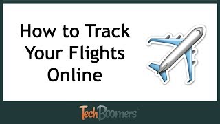 How to Track Your Flights Online
