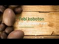 TEBI KOBOTON OFFICIAL AUDIO LYRICS BY MAMAKE CHUMBEE