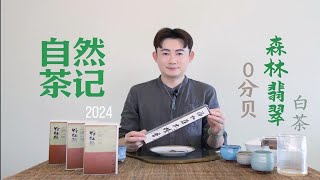 2024自然茶记0分贝森林翡翠白茶