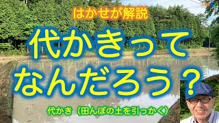 はかせが解説「代かきってなんだろう？」