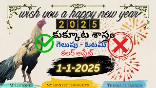 1 జనవరి 2025 | New year రోజు గెలిచే కోళ్ల రంగులు | kukkuta sastram winning colours