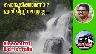 MEENMUTTY WATERFALLS/KALLAR ECO TOURISM