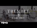 I AM THEY - Tremble (Acoustic Video)