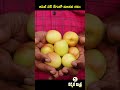 కాసులు పండిస్తున్న కొత్త రేగు రకం kashmiri red gold apple ber farming karshaka mitra shorts