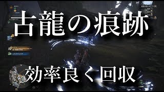 #8【モンハンワールド】古龍の痕跡を効率よく集めよう！【MONSTER HUNTER WORLD 】