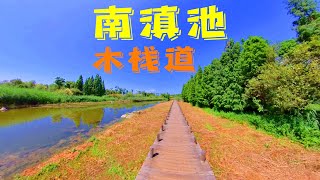 徒步南滇池湿地公园，这个木栈道很爽，背影大叔的昆明游记