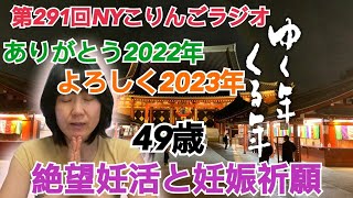 第291回NYこりんごラジオ(2022年納めSP 今年の振り返りと来年の抱負！目指せ高齢出産！)