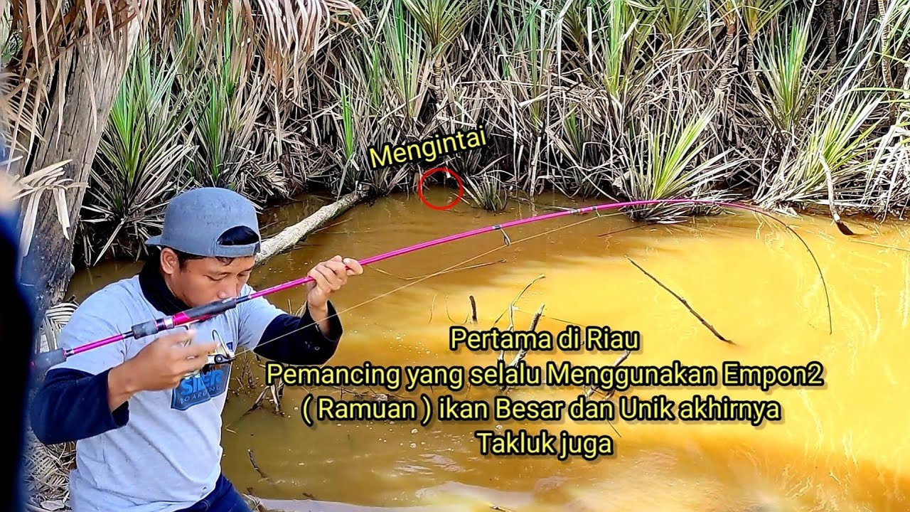 Mancing.!! Ketika Keberuntungan Pemancing Datang Hampir Di Semua Spot ...